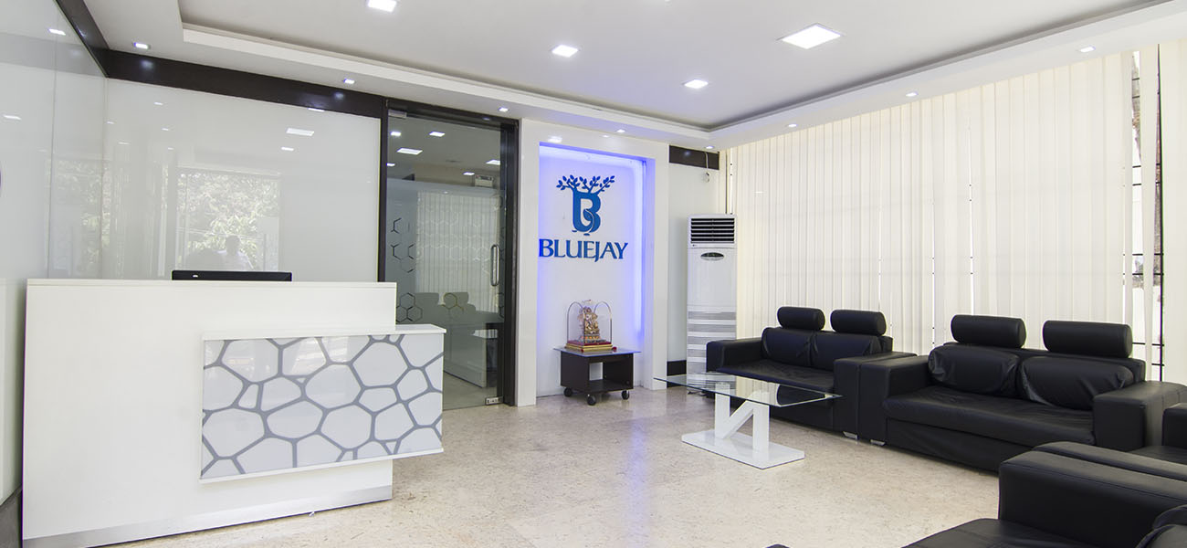 bluejay office