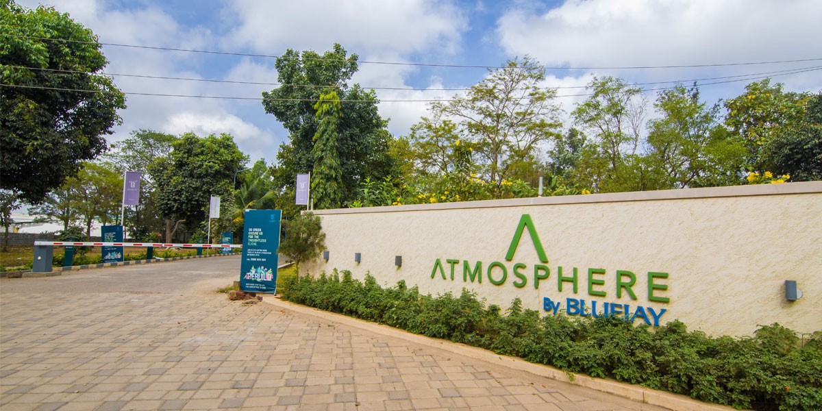 real estate developer