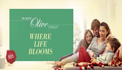 featured3-835x467 featured3-835x467