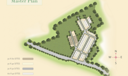 layout_planolive-1024x767-640x480 bluejay olive
