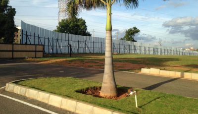 sunshine_3-835x467 sunshine_3-835x467