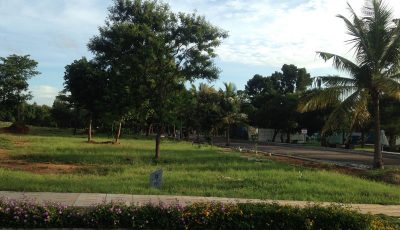 sunshine_8-800x467 sunshine_8-800x467